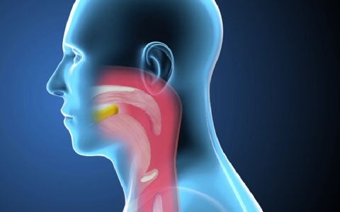 The Hydration Status of Adult Patients with Oropharyngeal Dysphagia and the Effect of Thickened Fluid Therapy on Fluid Intake and Hydration